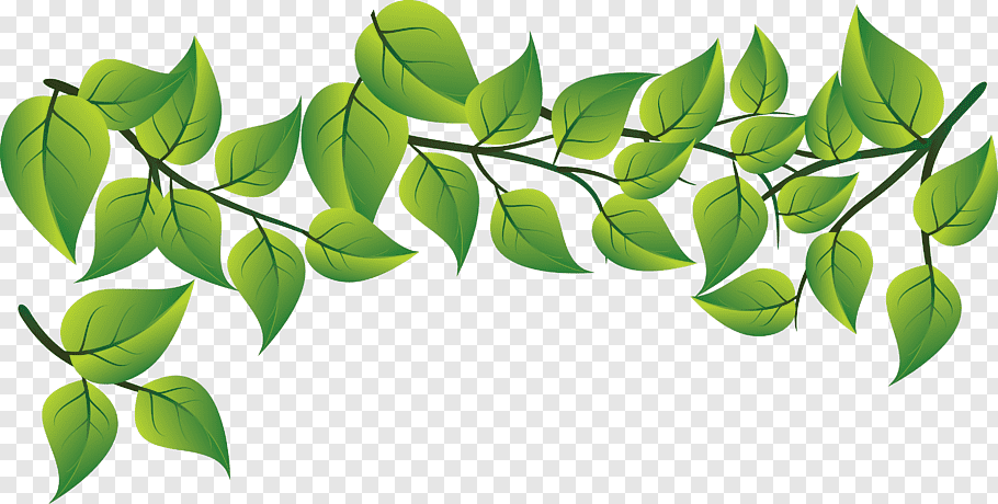 Green Leaves Clipart Png Clip Art Catherine Place